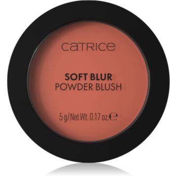Catrice Soft Blur Powder Brush fard de obraz sub forma de pudra cu efect matifiant - imagine 2